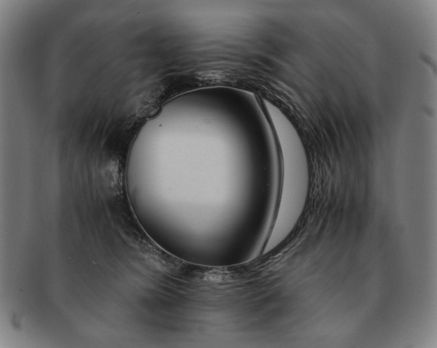 X0000091220420200708301456