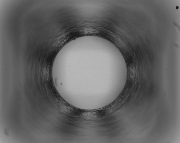 X0000091220422200708301456