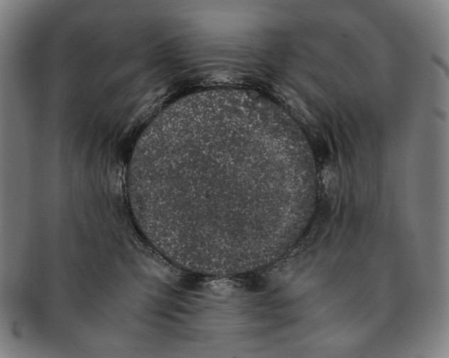 X0000091220423200708301456