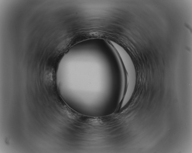 X0000091220424200708301456