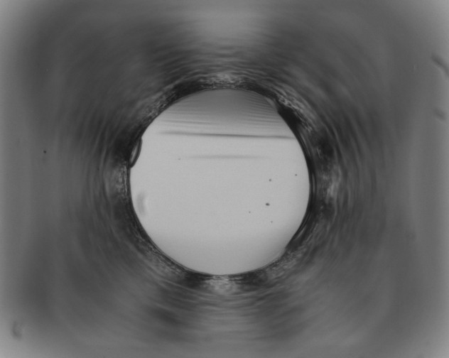 X0000091220425200708301456