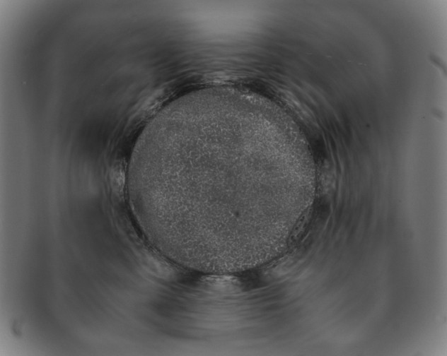 X0000091220427200708301456