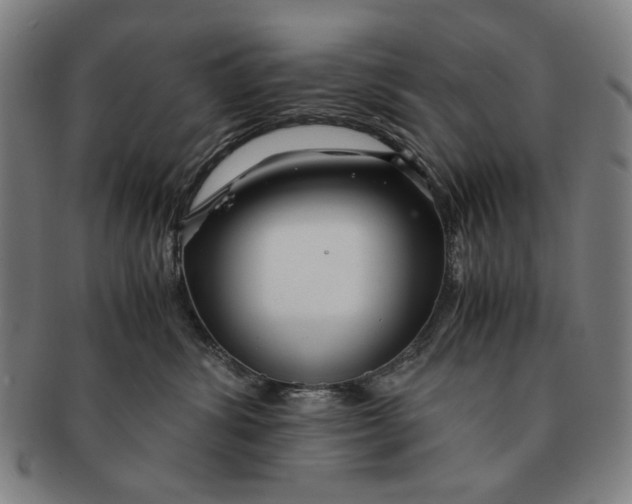 X0000091220428200708301456