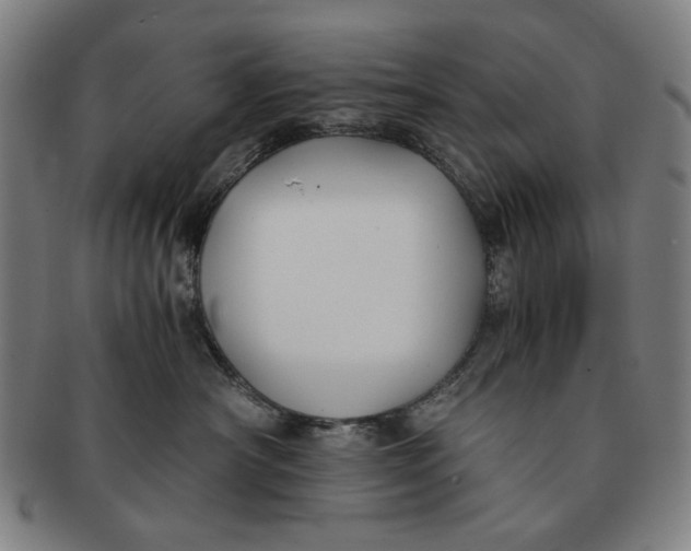 X0000091220430200708301456