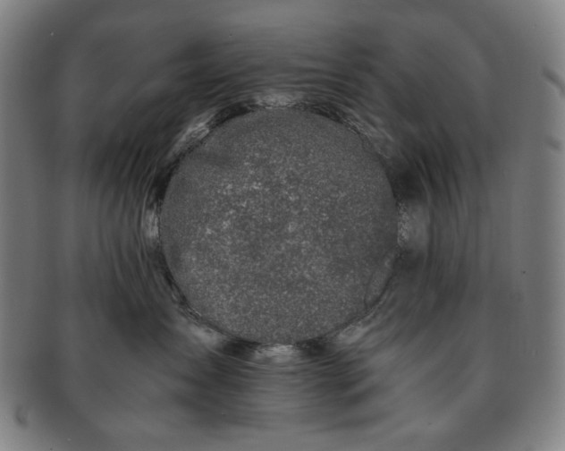 X0000091220431200708301456