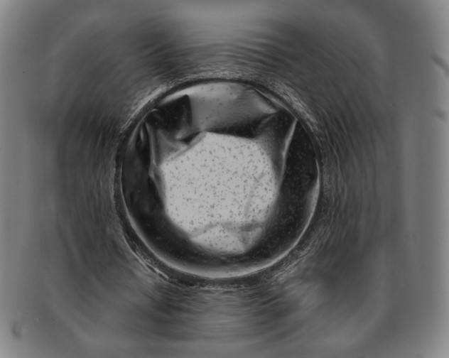 X0000091220434200708301455