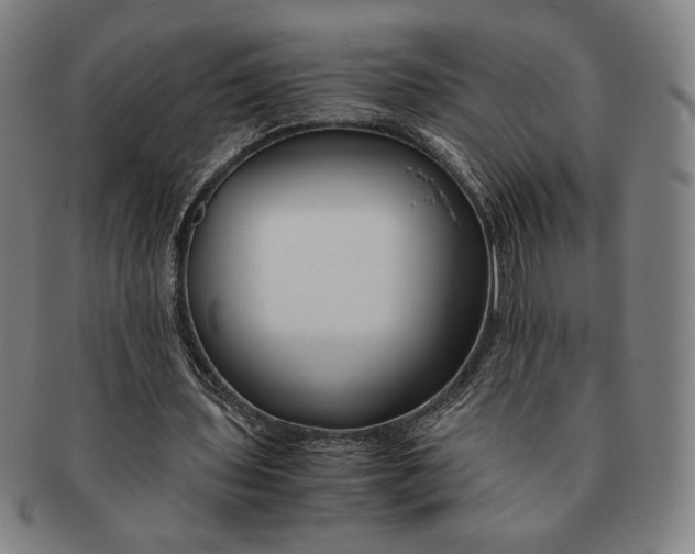 X0000091220435200708301455