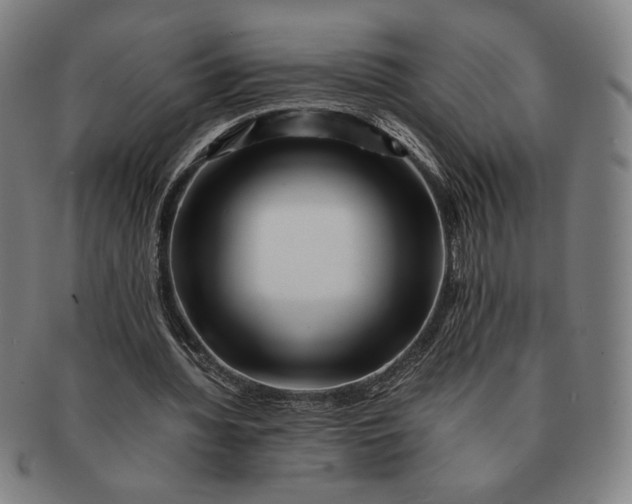 X0000091220436200708301455