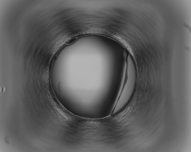 X0000091220437200708301455