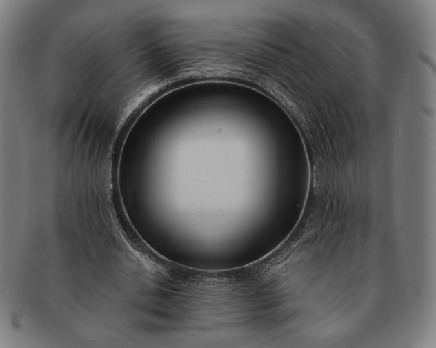 X0000091220438200708301455