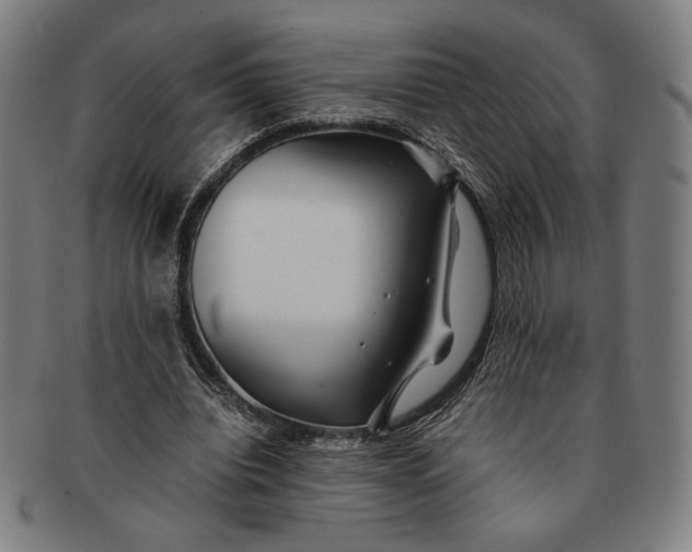 X0000091220440200708301455