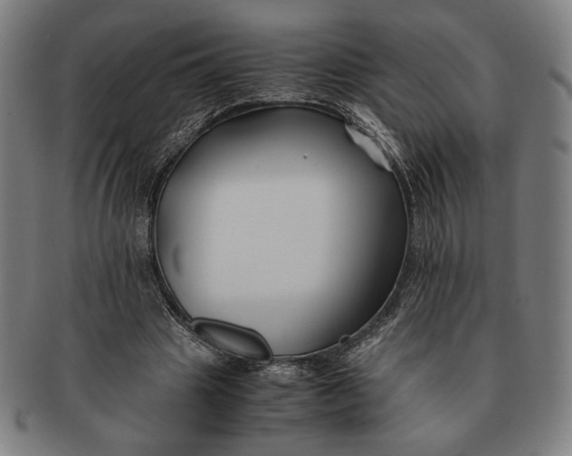 X0000091220441200708301455