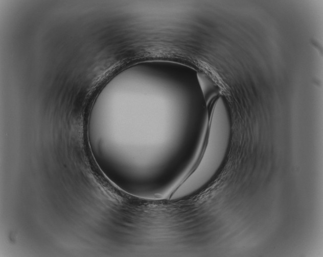 X0000091220442200708301455