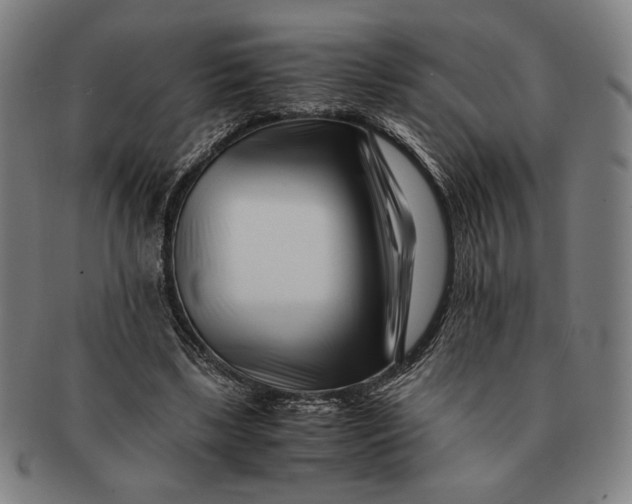 X0000091220443200708301455