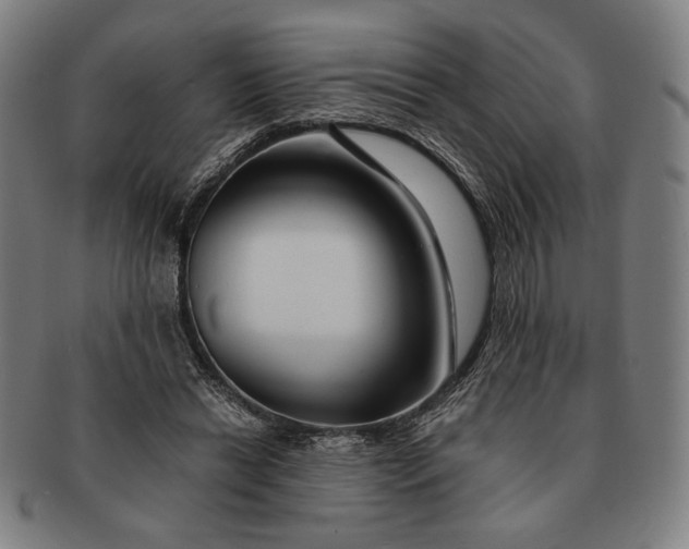 X0000091220446200708301455