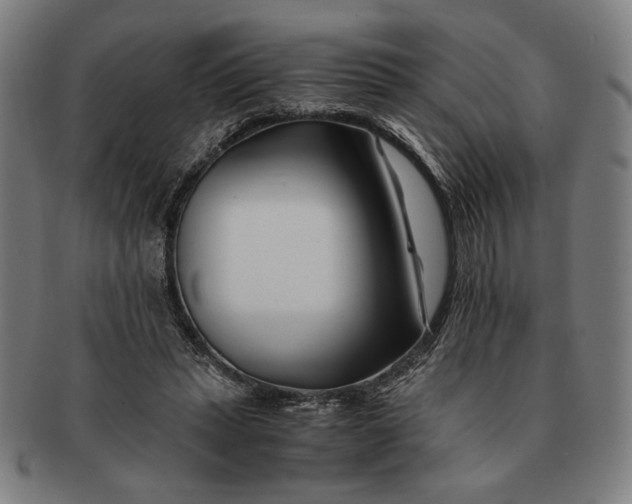 X0000091220447200708301455