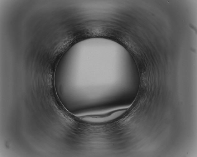 X0000091220450200708301455