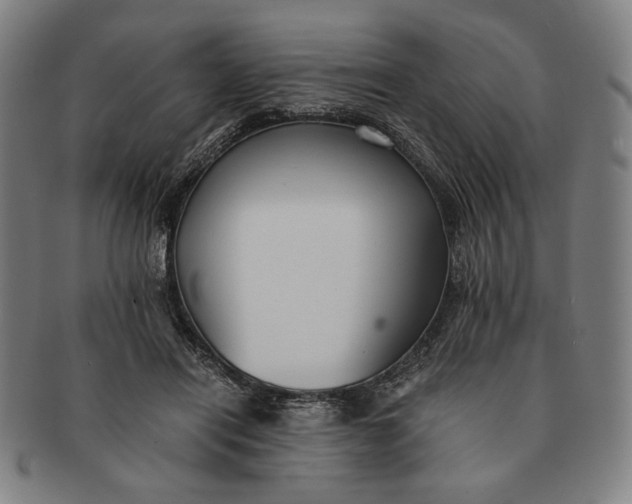 X0000091220454200708301455