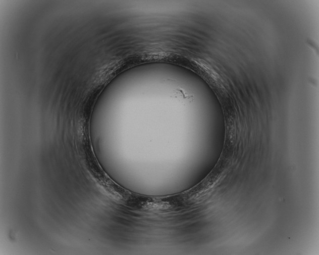 X0000091220455200708301455