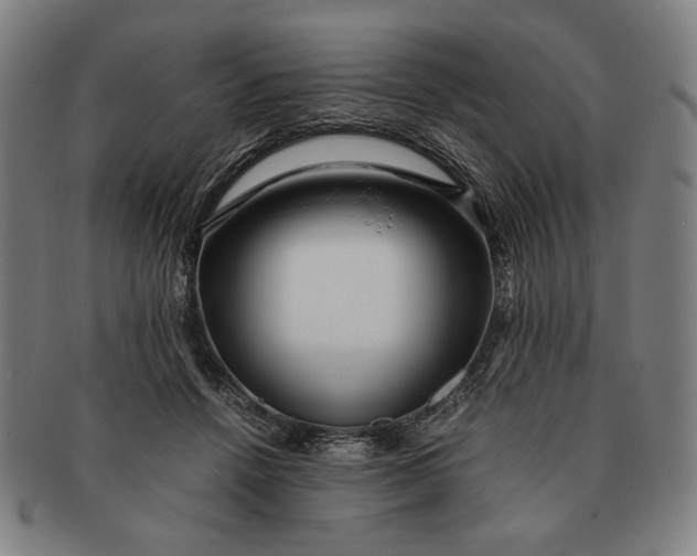 X0000091220456200708301455