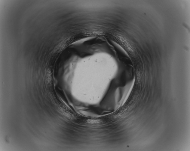 X0000091220457200708301455