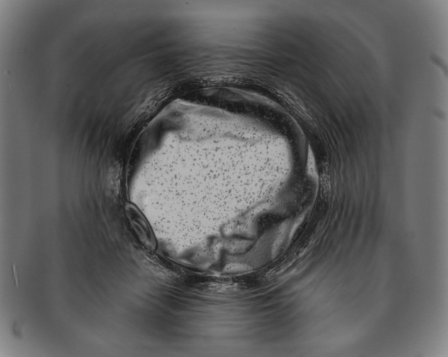 X0000091220458200708301455