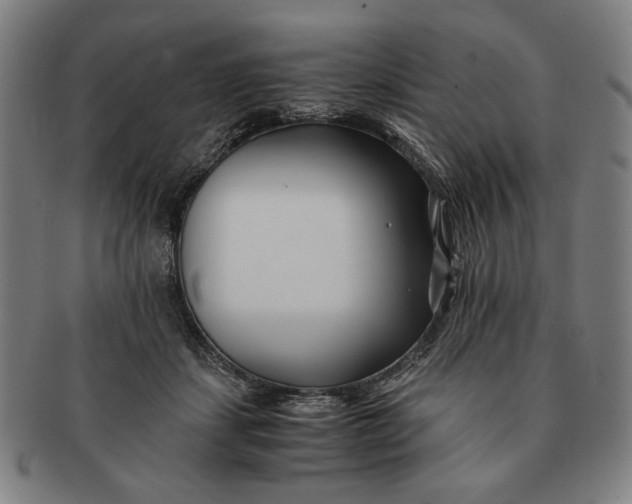 X0000091220459200708301455