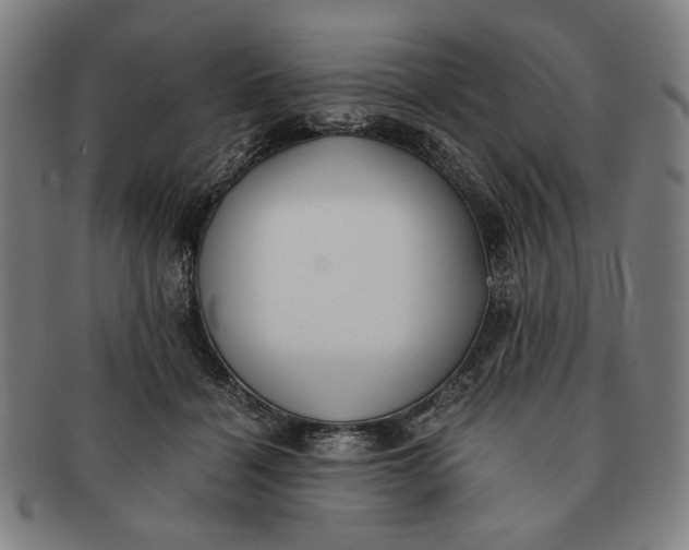 X0000091220460200708301455