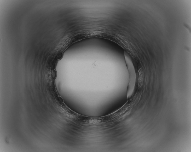 X0000091220462200708301455