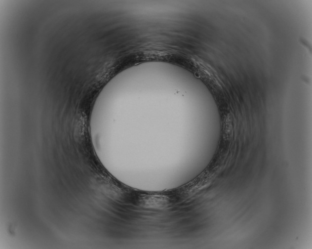 X0000091220463200708301455