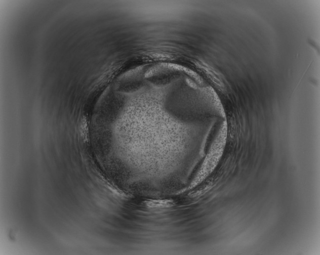 X0000091220465200708301455