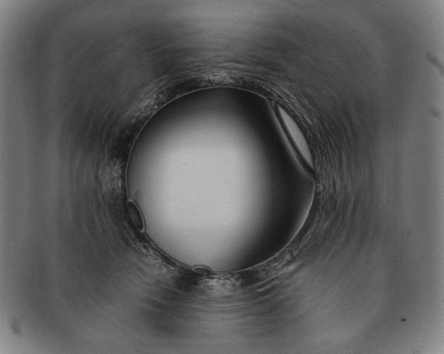 X0000091220466200708301455