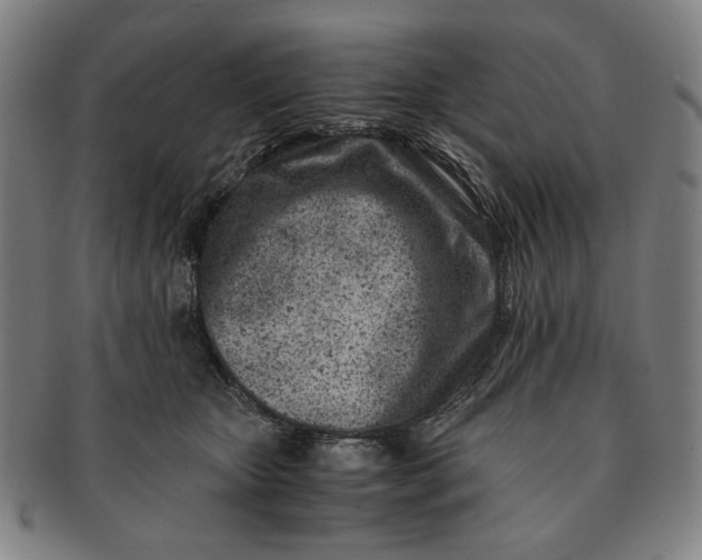 X0000091220467200708301455