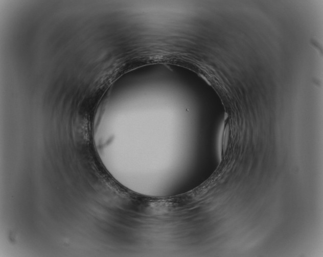 X0000091220470200708301455