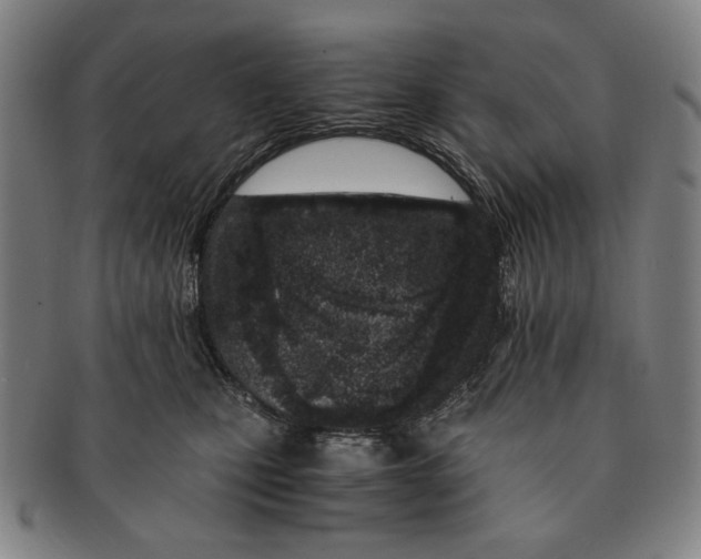 X0000091220471200708301456