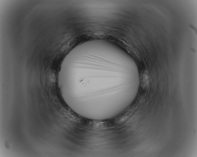 X0000091220472200708301456