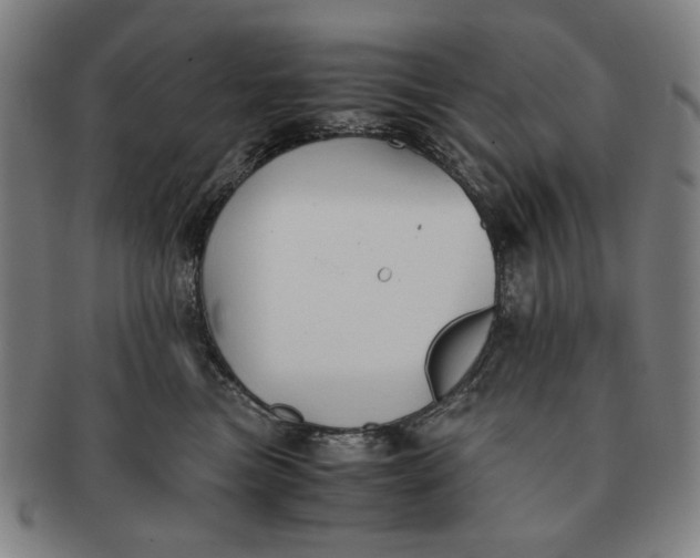 X0000091220473200708301456