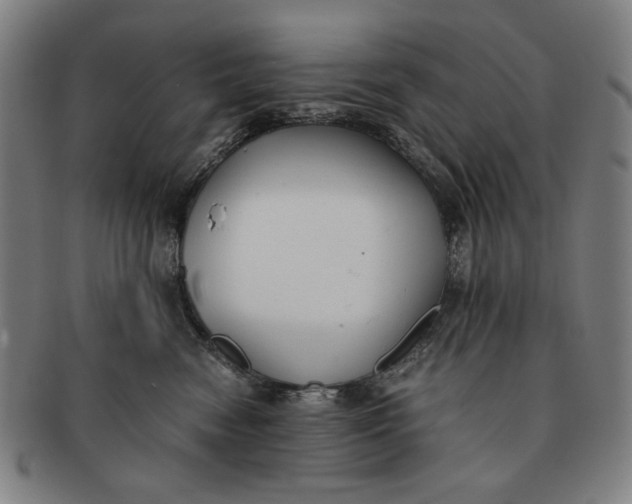 X0000091220474200708301456