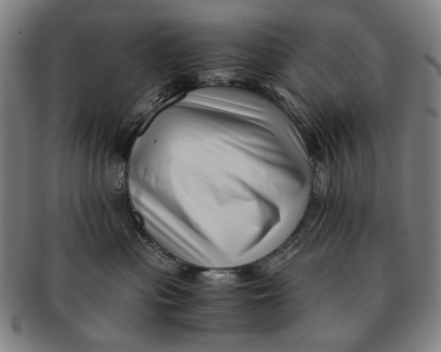 X0000091220477200708301456