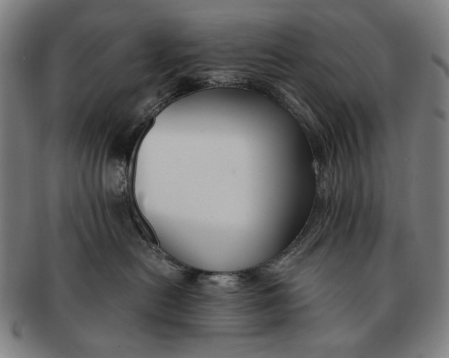 X0000091220478200708301456