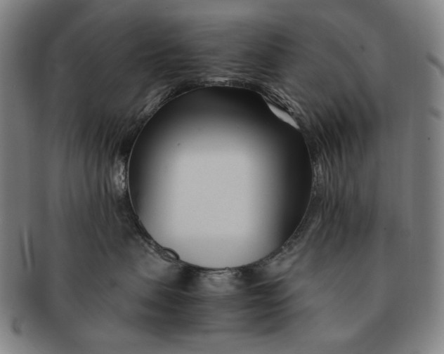 X0000091220479200708301456