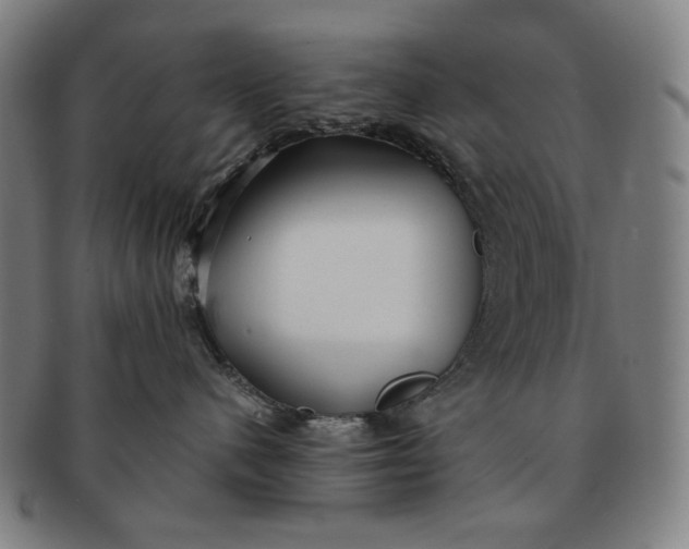 X0000091220480200708301456