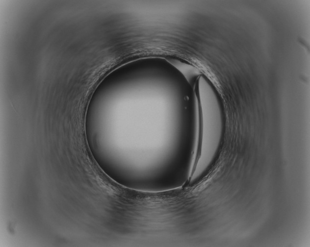 X0000091220481200708301455