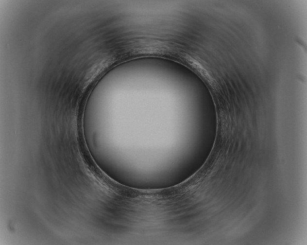 X0000091220482200708301455