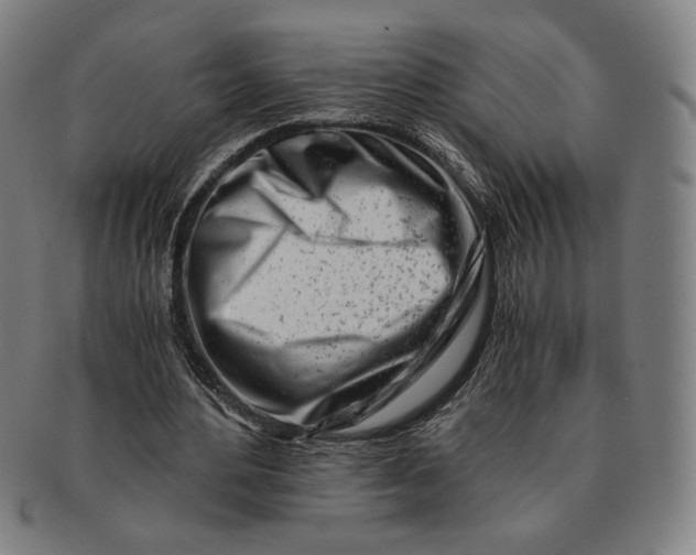 X0000091220484200708301455