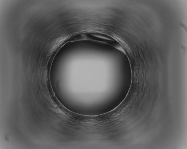 X0000091220485200708301455