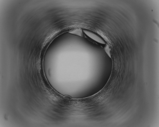 X0000091220486200708301455