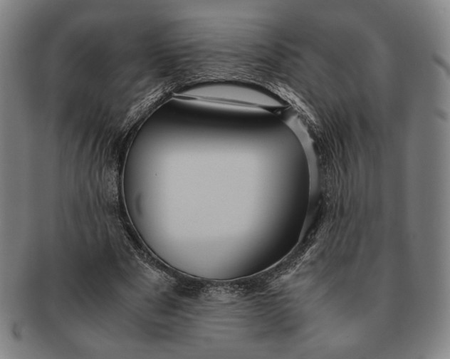 X0000091220489200708301455