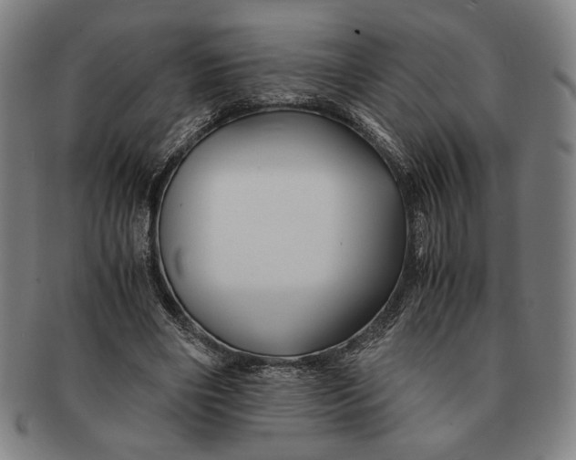 X0000091220490200708301455