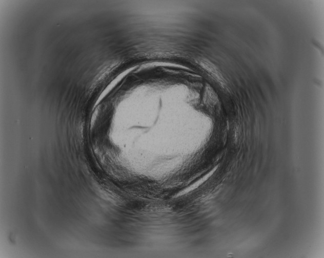 X0000091220491200708301455